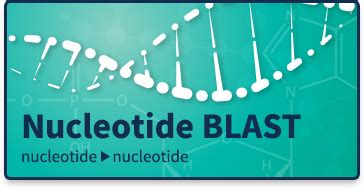 ncbi nucleotide blast tool.